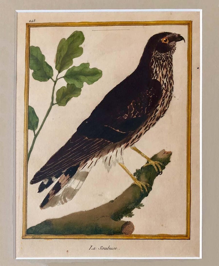 Set of Four HandColored Copper Plate Engravings from 1786 For Sale at