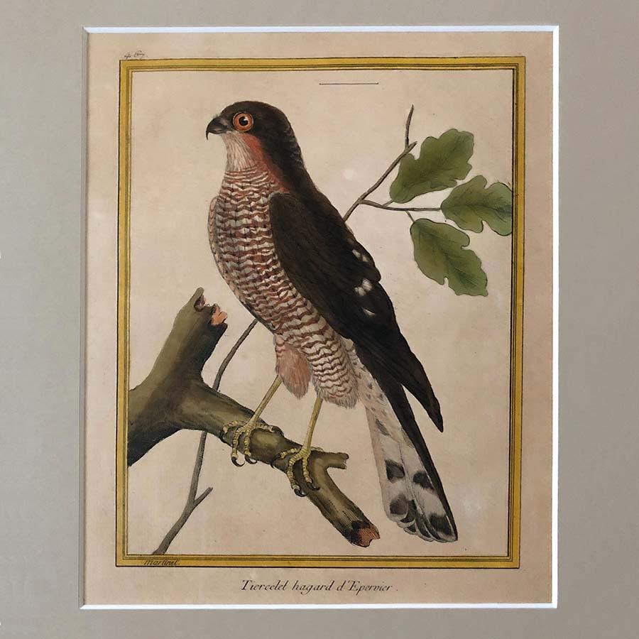 Set of Four Hand-Colored Copper Plate Engravings from 1786 1