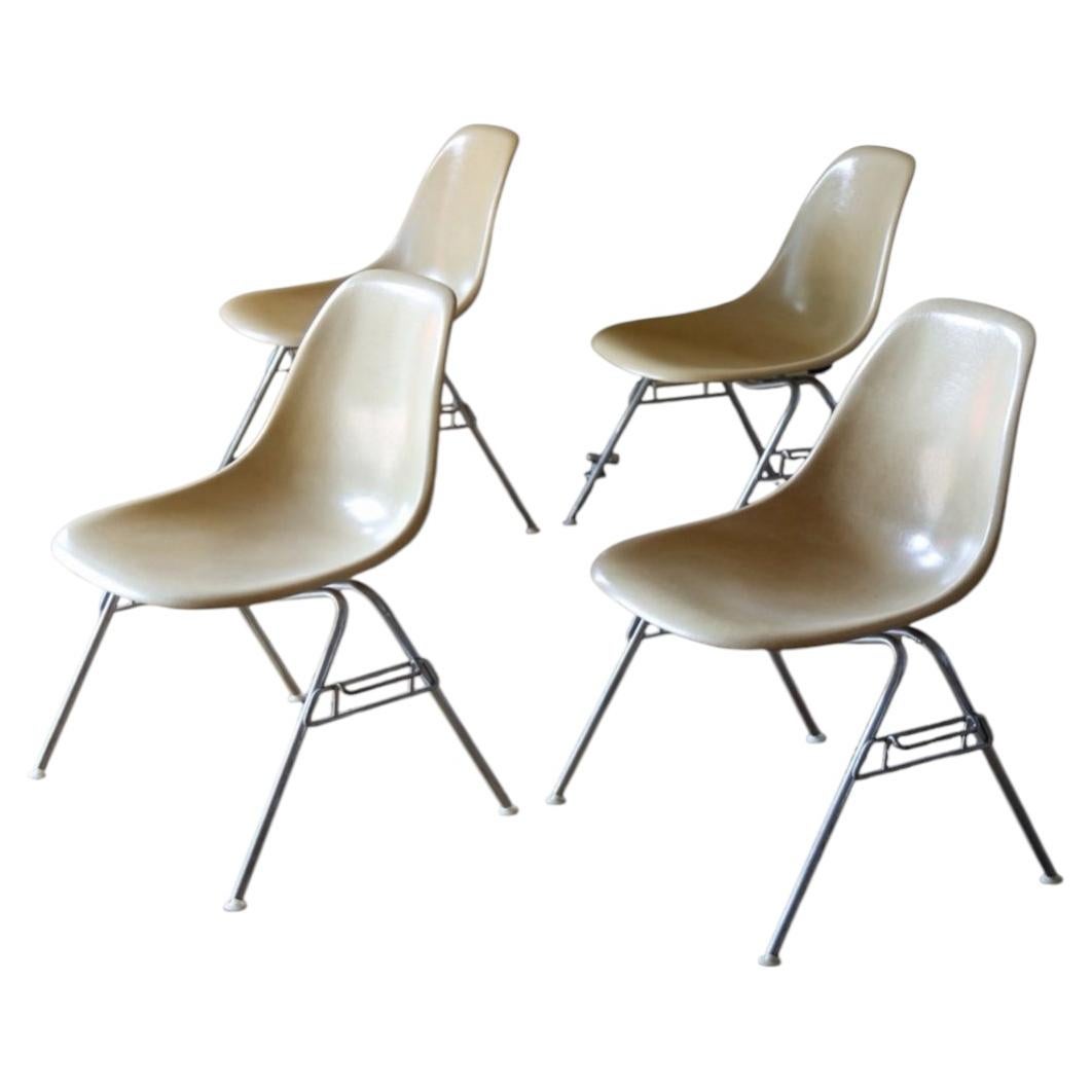 Set of Four Herman Miller Eames Fiberglass Dining Chairs
