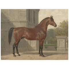 Set of four Horse prints by Eerelman (1898)