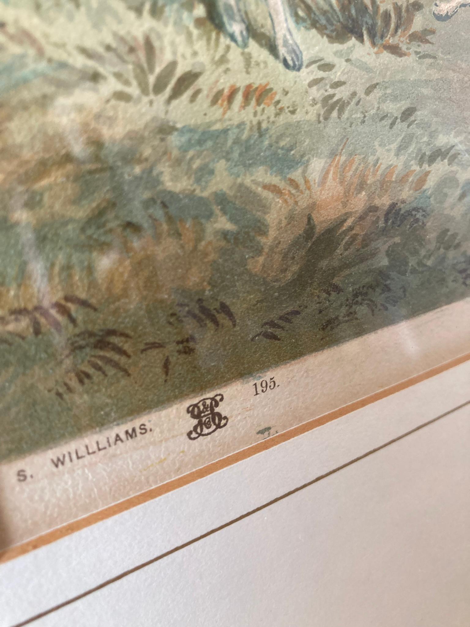 Set of Four Hunting prints by S. Williams. No's 193,194, 195, 196. Published by S Hildesheimer & Co, London, Manchester, New York. Each picture with its own Title. 'T he Find' 'The Run' 'The Finish' and 'Going to Cover'

These rare pictures are