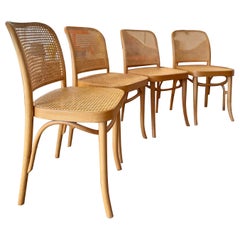 Conjunto de cuatro icónicas sillas de madera curvada de caña diseñadas por Josef Hoffmann, Model No. 81