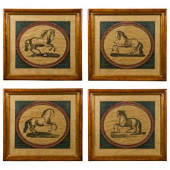 Set of Four Italian 1880s Engravings of Horses in Medallions in Vintage Frames