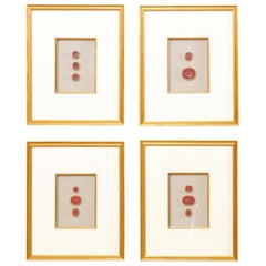 Neoclassical Shadow Boxes