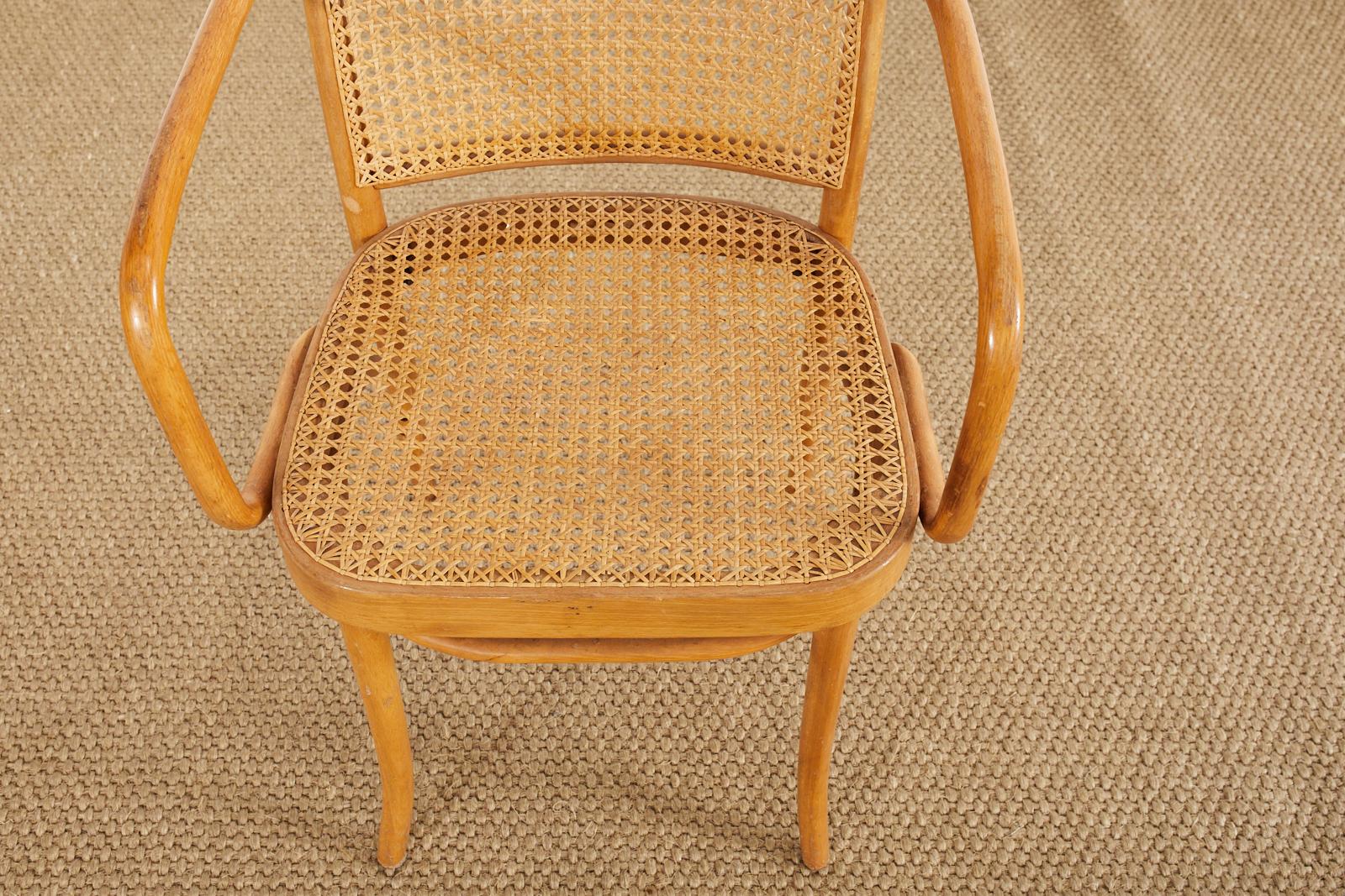 Set of Four Josef Frank/Hoffman Bentwood Prague 811 Chairs For Sale 2