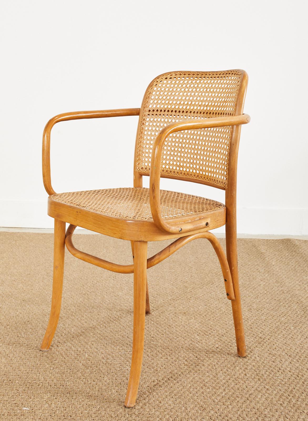 Set of Four Josef Frank/Hoffman Bentwood Prague 811 Chairs For Sale 5