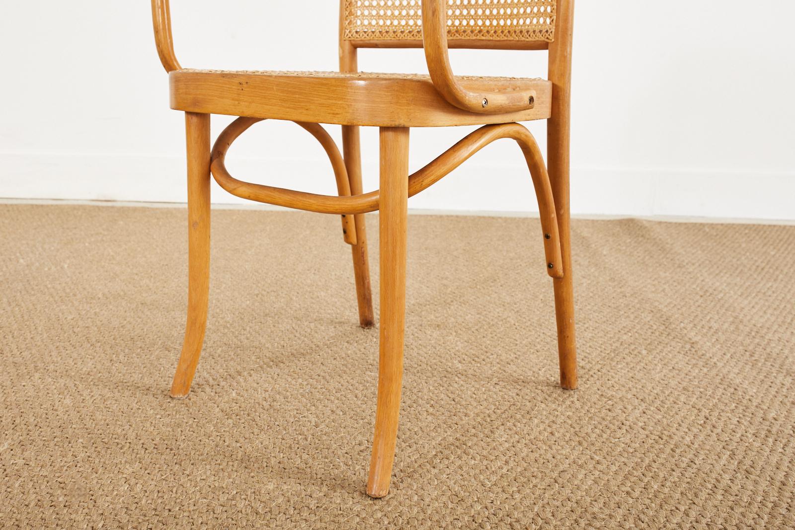 Set of Four Josef Frank/Hoffman Bentwood Prague 811 Chairs For Sale 6