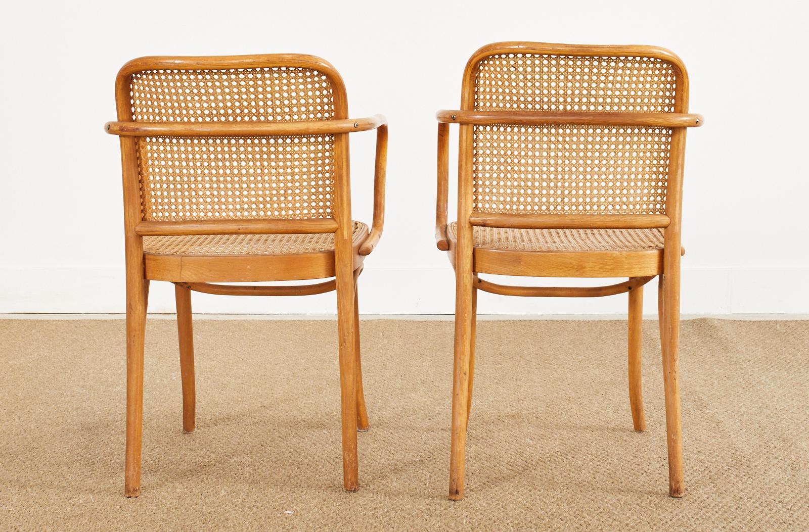 Set of Four Josef Frank/Hoffman Bentwood Prague 811 Chairs For Sale 11