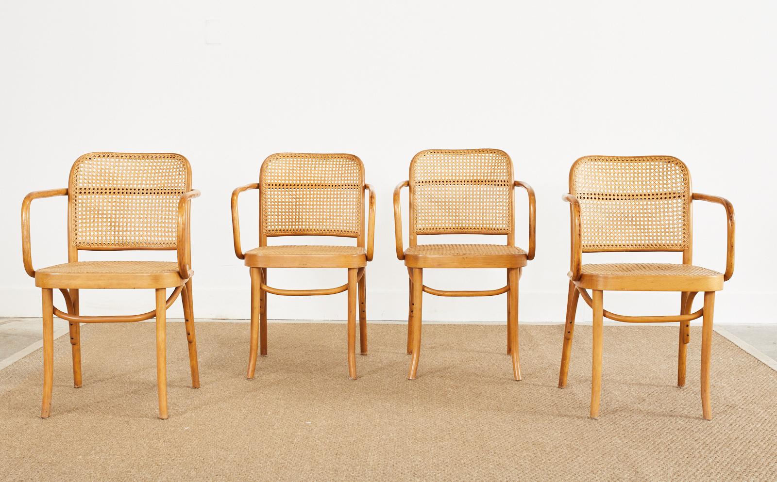 Satz von vier Josef Frank/Hoffman Prager 811-Stühlen aus Bugholz (Moderne der Mitte des Jahrhunderts) im Angebot