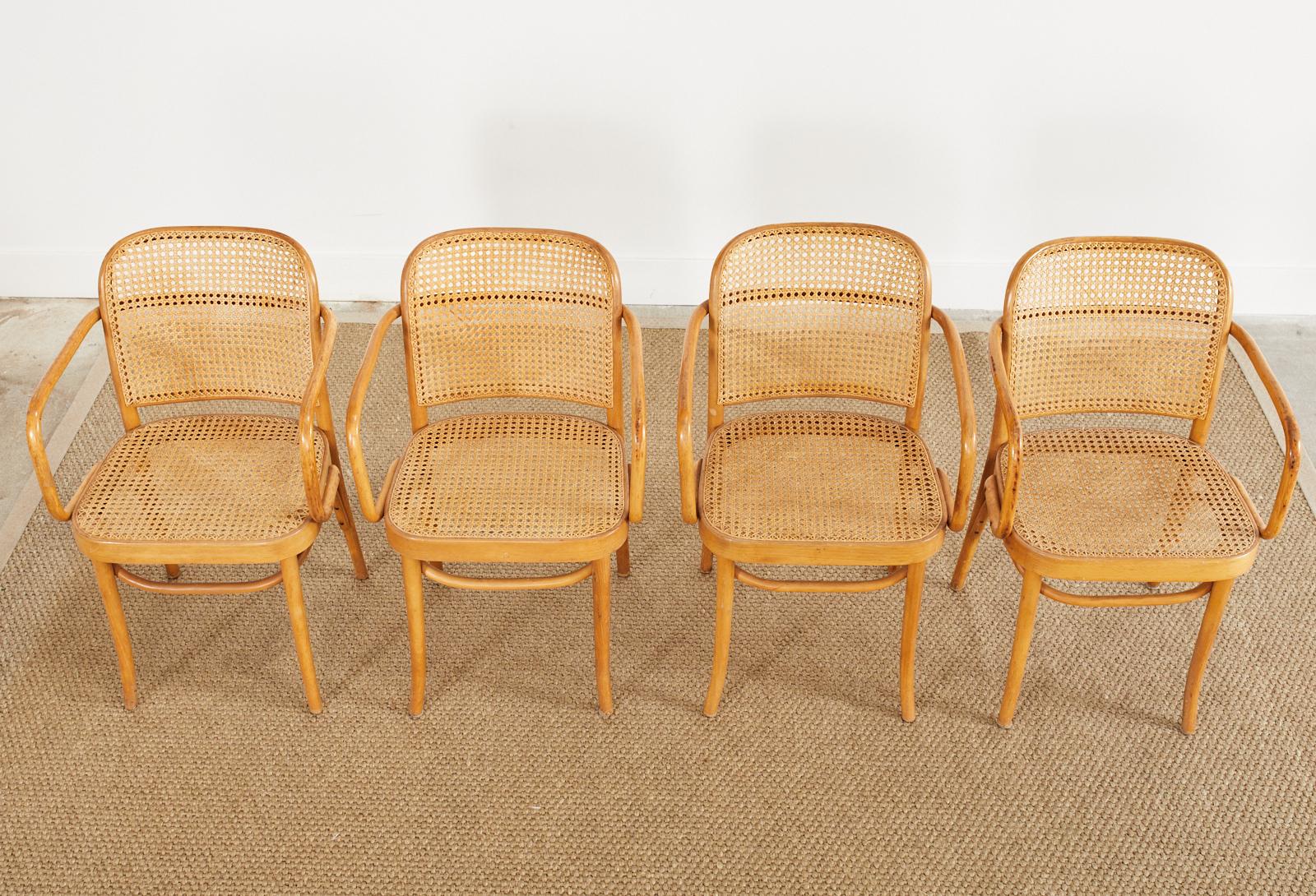 Mid-Century Modern Set of Four Josef Frank/Hoffman Bentwood Prague 811 Chairs For Sale