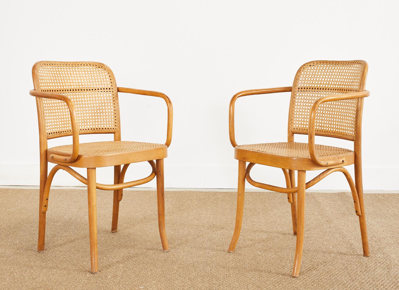 Fait main Ensemble de quatre chaises en bois cintré Josef Frank/Hoffman Prague 811 en vente
