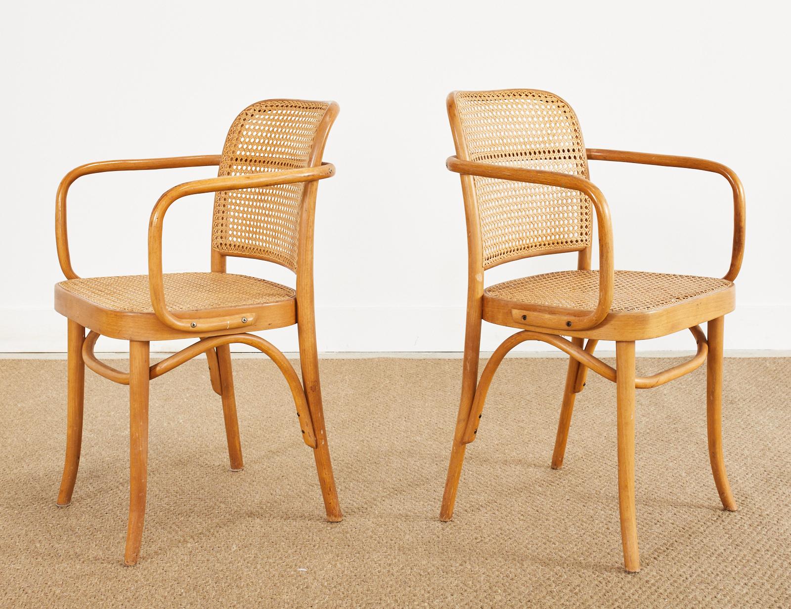 20ième siècle Ensemble de quatre chaises en bois cintré Josef Frank/Hoffman Prague 811 en vente