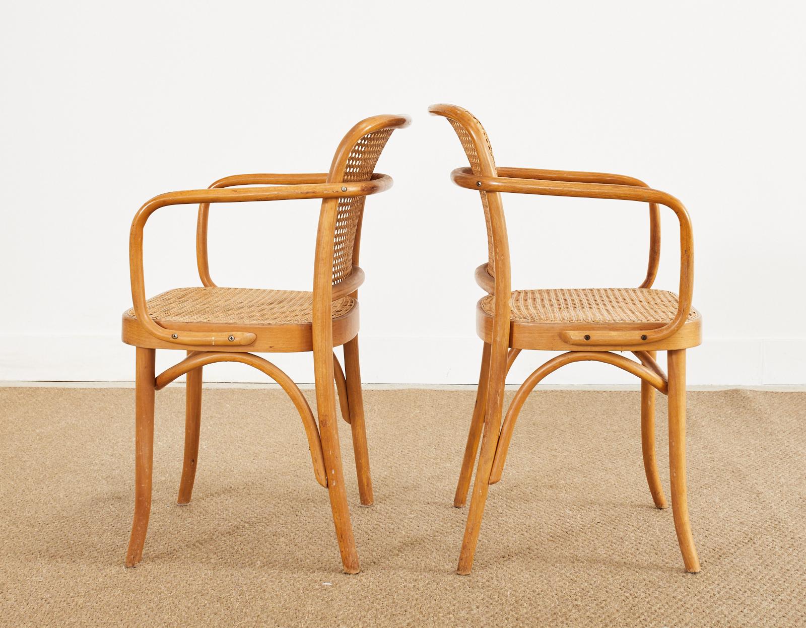 Canne Ensemble de quatre chaises en bois cintré Josef Frank/Hoffman Prague 811 en vente