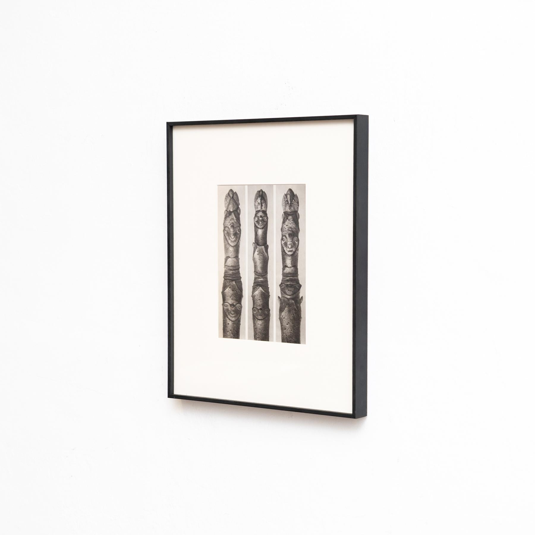Set of Four Karl Blossfeldt Framed Photogravures: Nature's Elegance (1942) For Sale 3