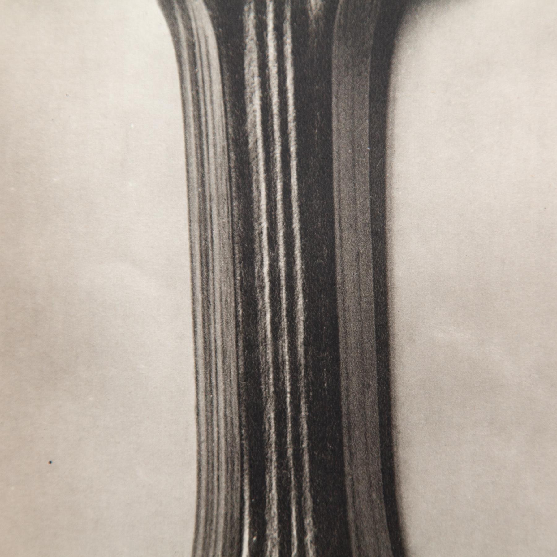 Set di quattro fotogrammi incorniciati di Karl Blossfeldt: Natural Elegance (1942) in vendita 5