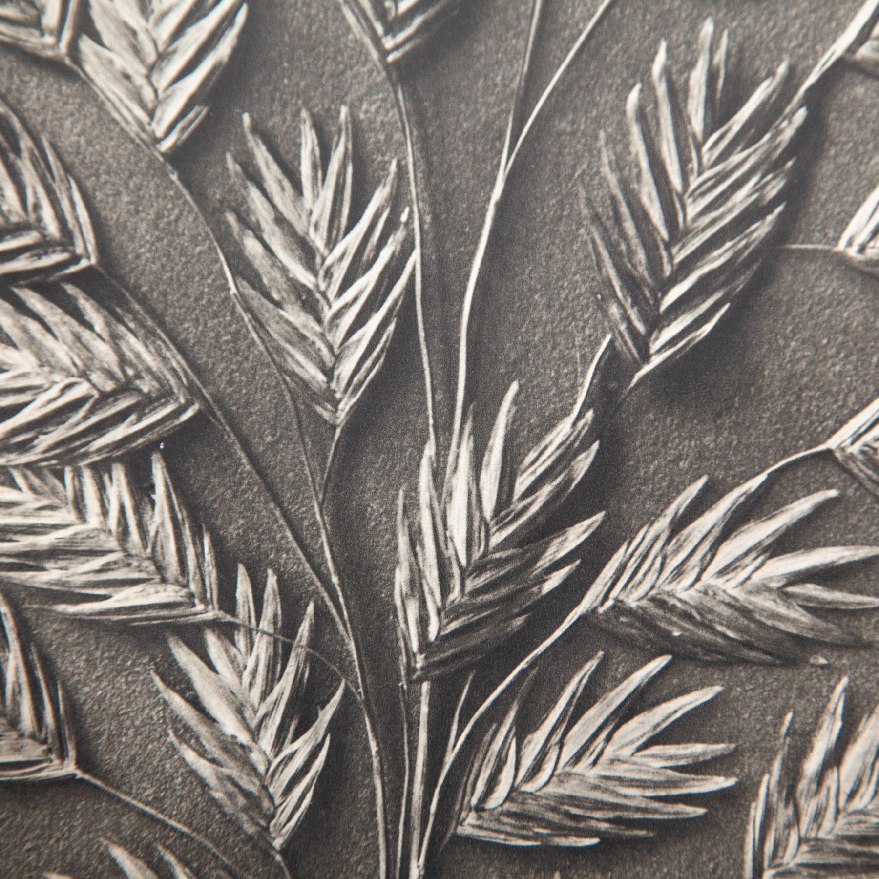 Set di quattro fotogrammi incorniciati di Karl Blossfeldt: Natural Elegance (1942) in vendita 8