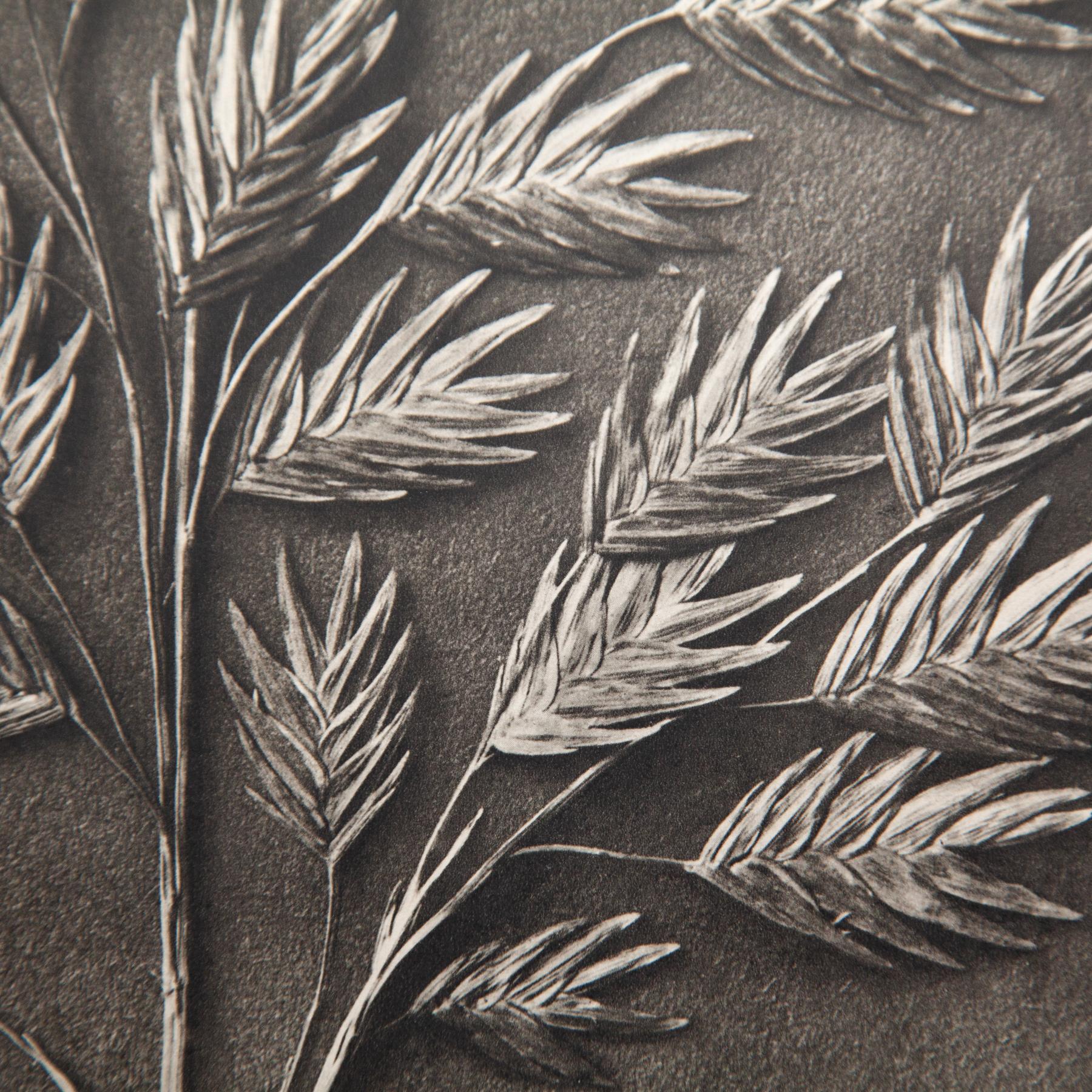Set di quattro fotogrammi incorniciati di Karl Blossfeldt: Natural Elegance (1942) in vendita 9