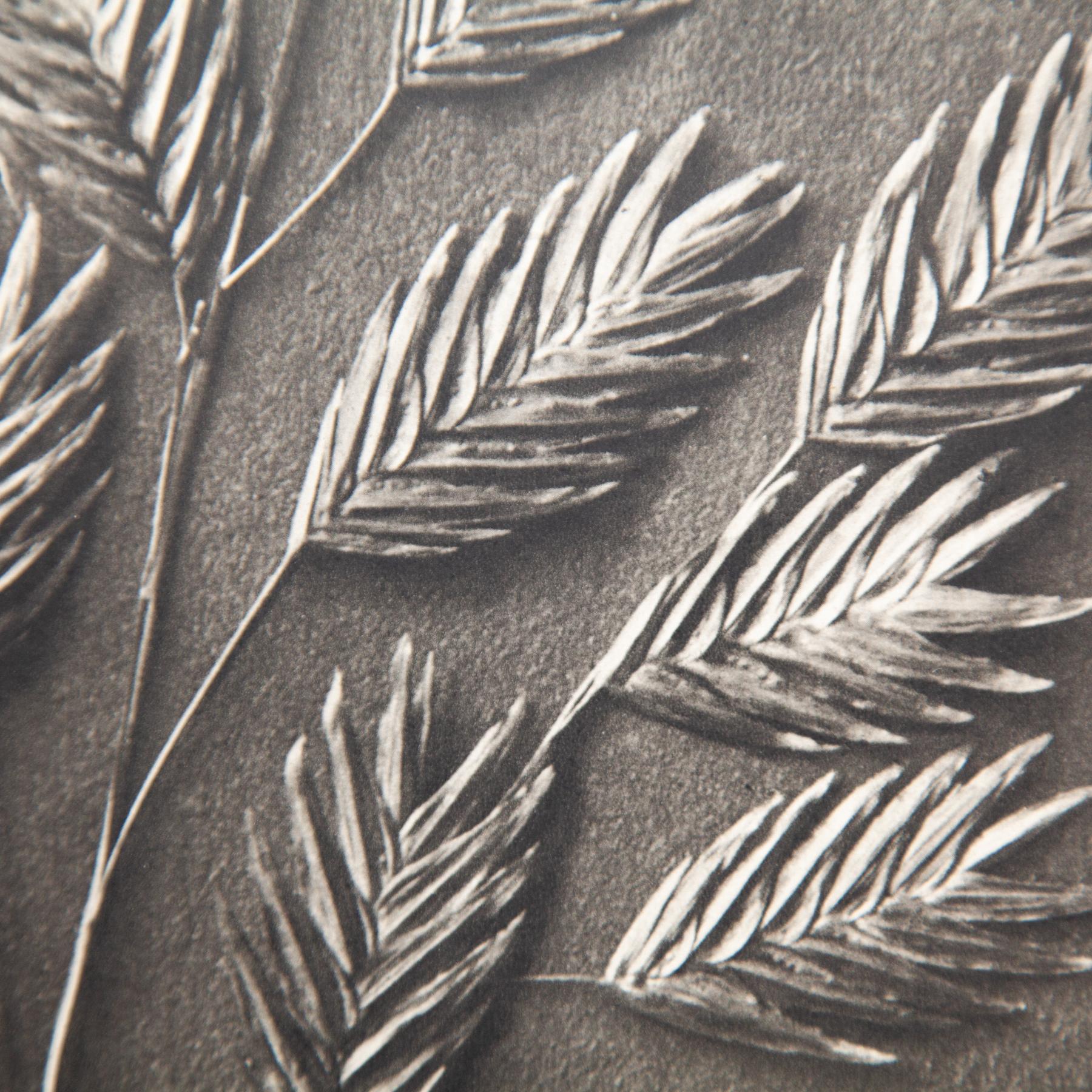 Set di quattro fotogrammi incorniciati di Karl Blossfeldt: Natural Elegance (1942) in vendita 10