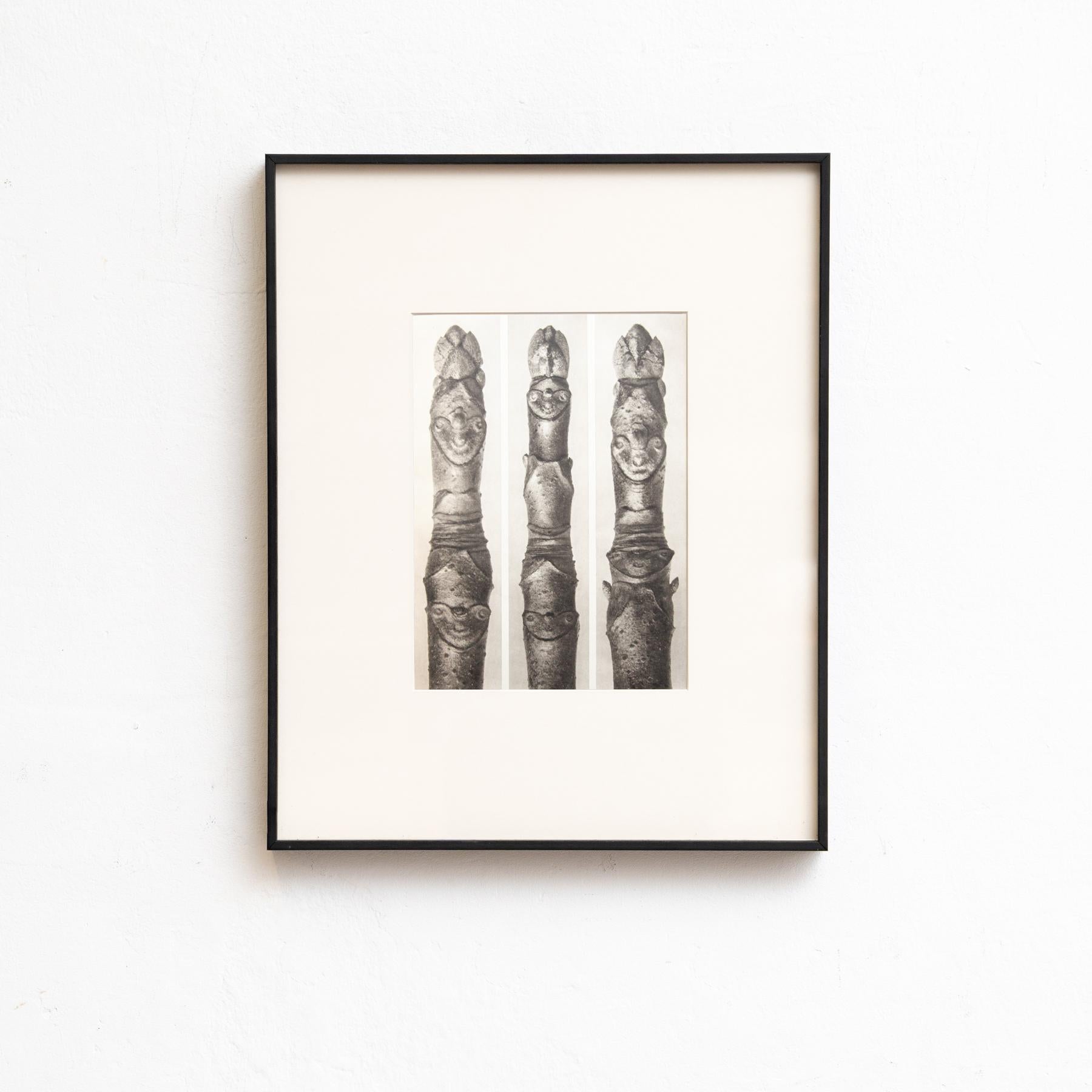 Set of Four Karl Blossfeldt Framed Photogravures: Nature's Elegance (1942) For Sale 2