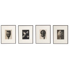 Set di quattro fotogrammi incorniciati di Karl Blossfeldt: Natural Elegance (1942)