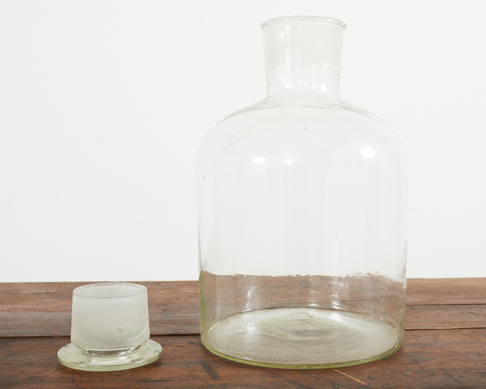 Set of Four Large Hand Blown French Pharmacy Apothecary Jars For Sale 3