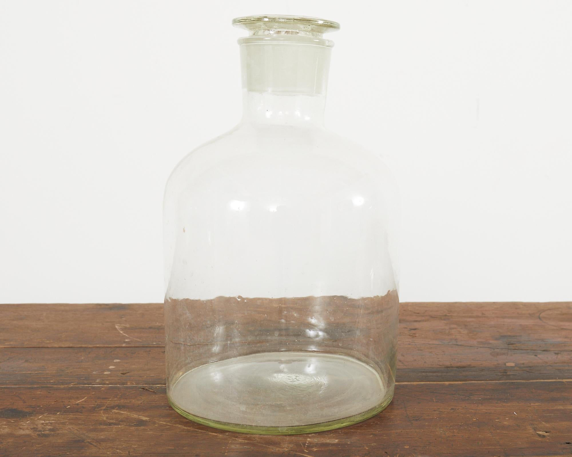 20th Century Set of Four Large Hand Blown French Pharmacy Apothecary Jars For Sale