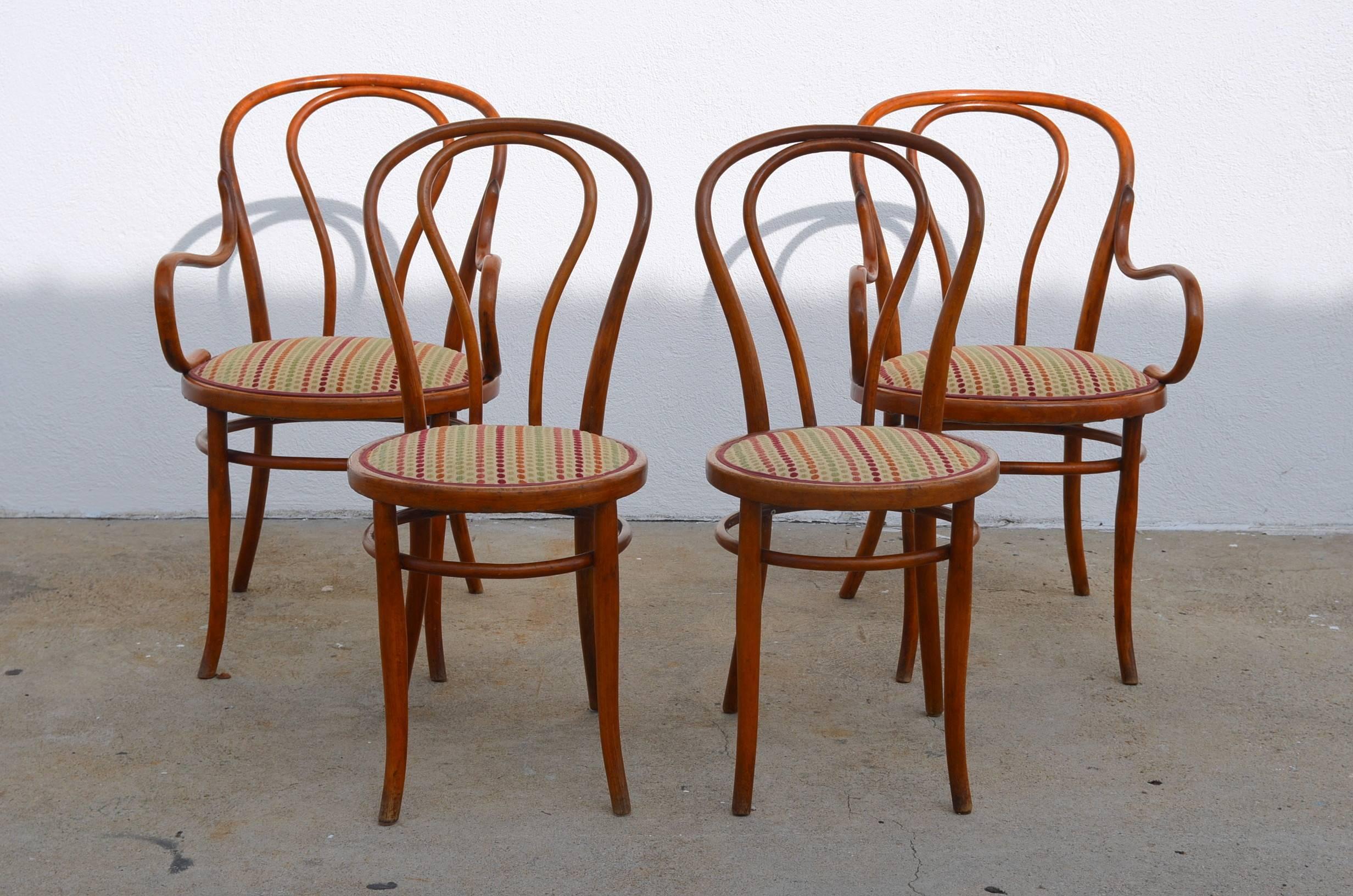 Set of four large slender bentwood dining set by Thonet, early 20th century European production. Seat fabric can be changed with C. O. M. (one yard) at no extra charge.

Dimensions:

Armchair 36 in. tall / 19 in. seat height, 23 in. wide, 27.5
