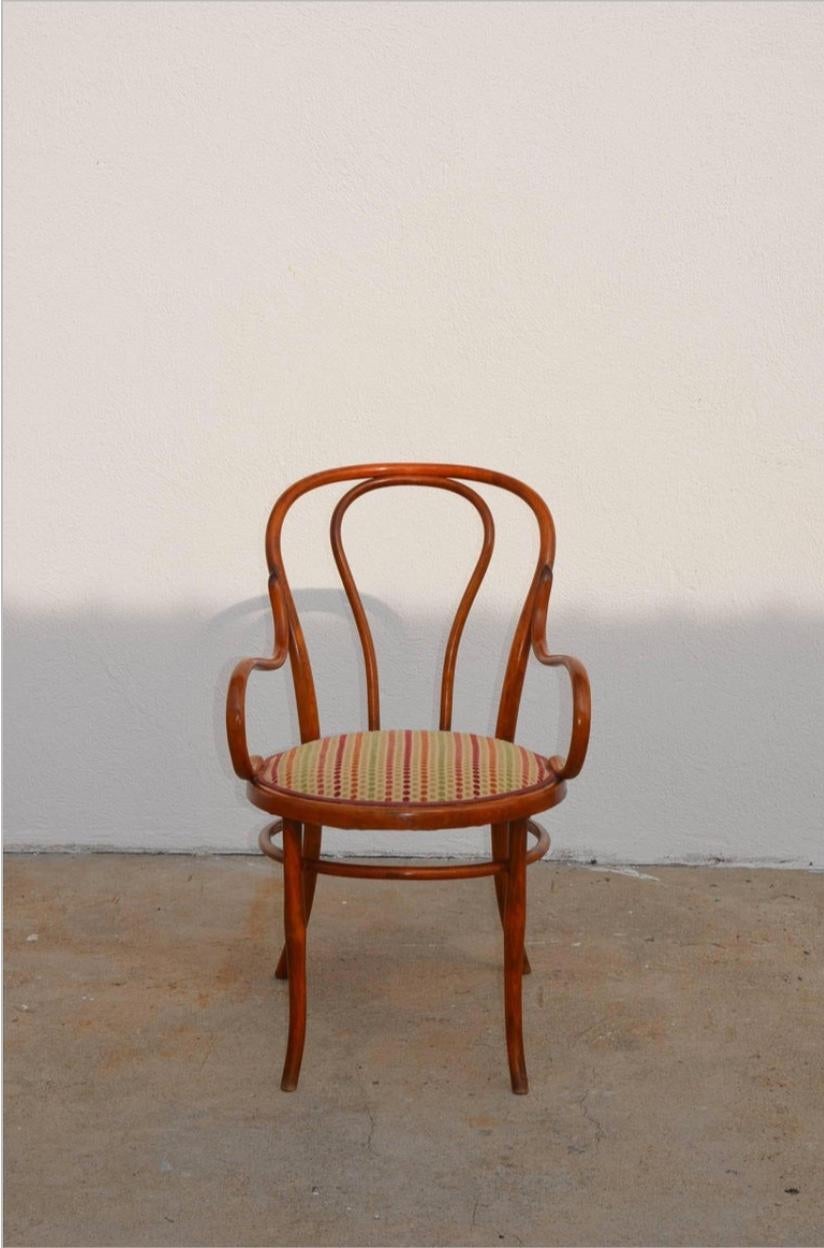Set aus vier großen, schlanken Esszimmerstühlen aus Bugholz von Thonet (Jugendstil) im Angebot