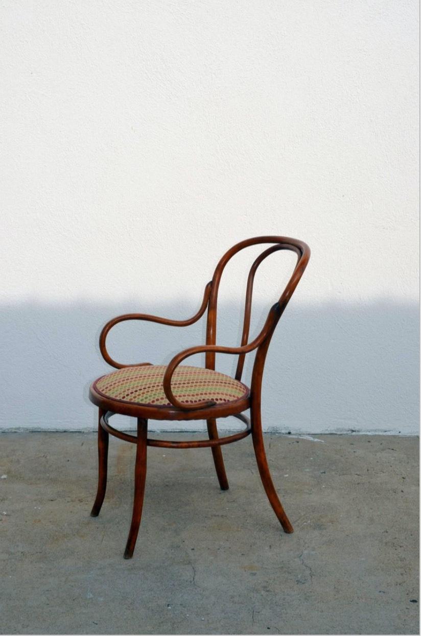 Set aus vier großen, schlanken Esszimmerstühlen aus Bugholz von Thonet (Österreichisch) im Angebot