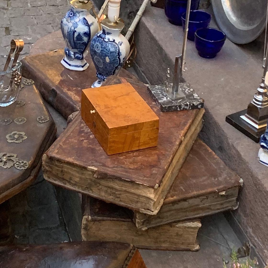 Set of Four Large Thick, 18th Century Leather-Bound Books for Decoration 3