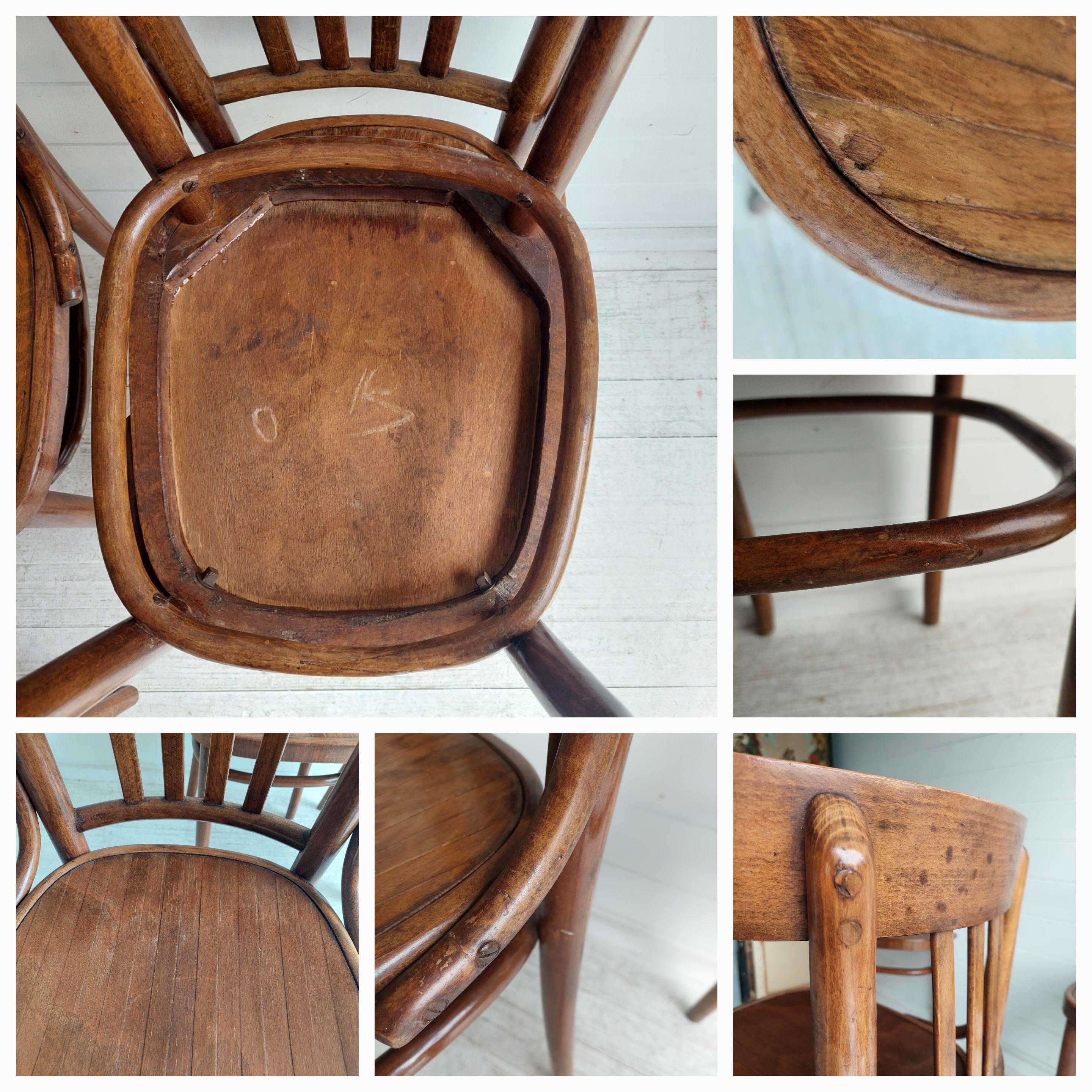 Set Of Four Ligna For Thonet Bentwood Bistro Dining Chairs, Czechoslovakia 30s 13