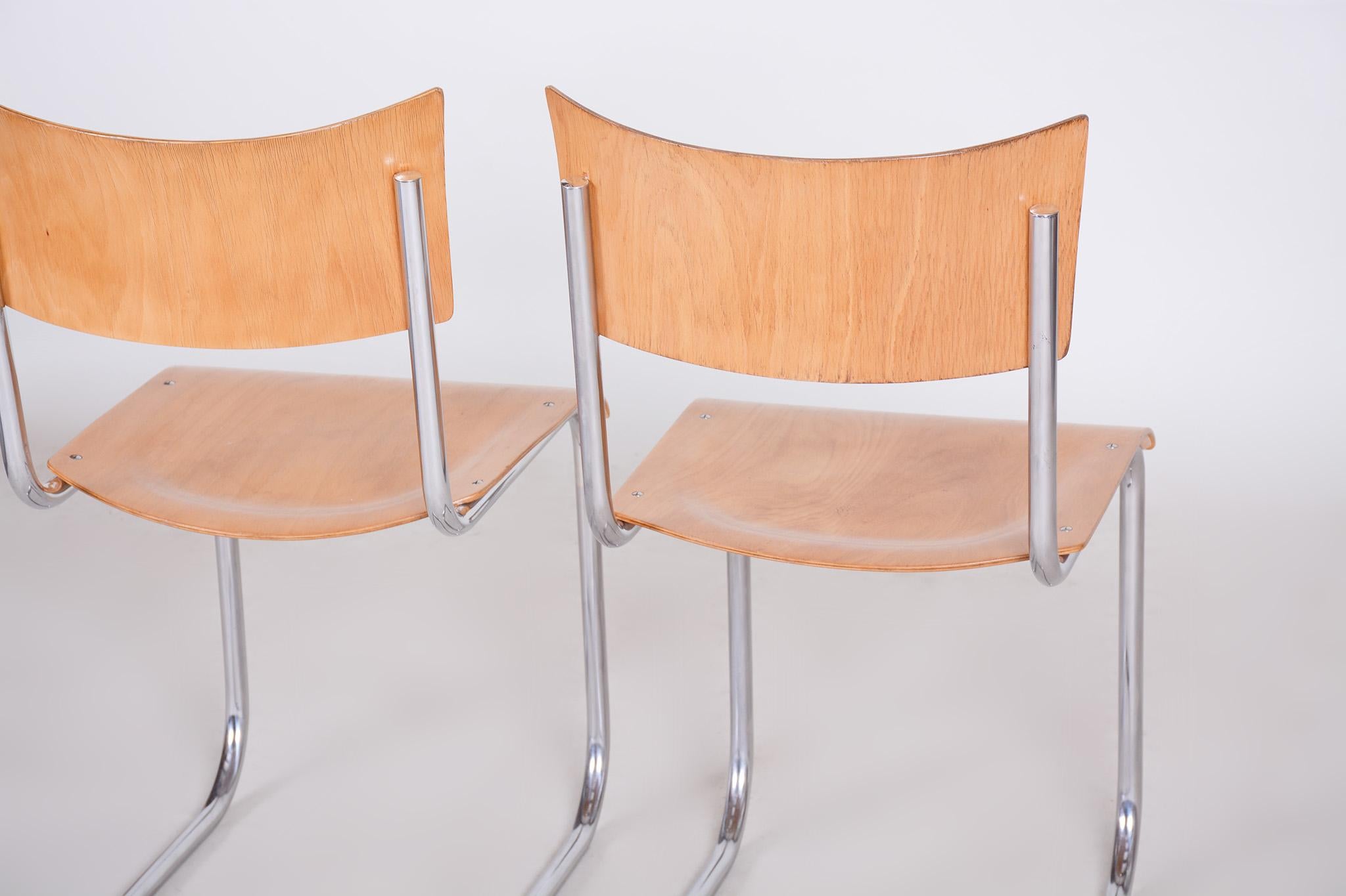 Set of Four Mart Stam Dining Chairs, 1930s For Sale 4