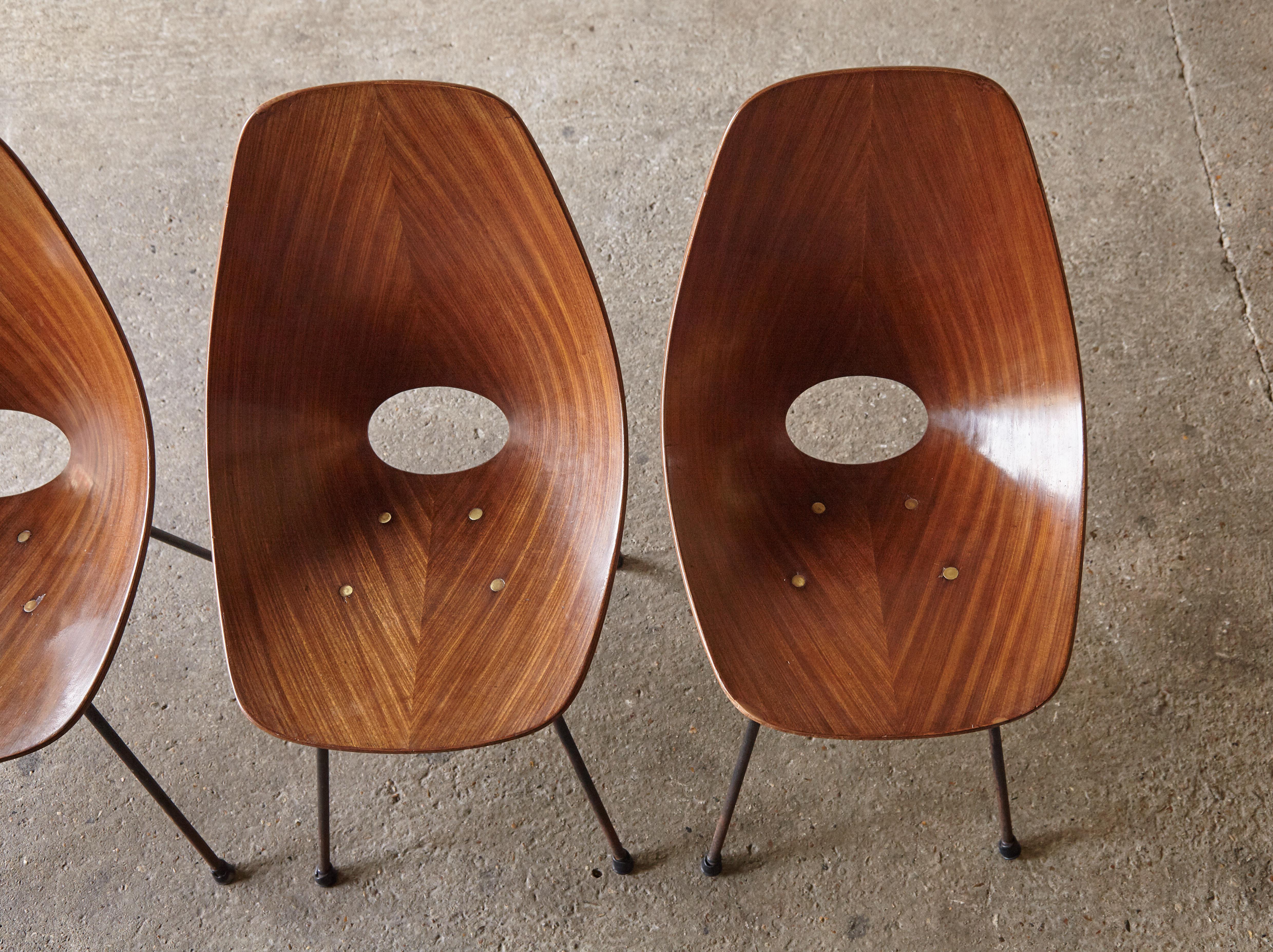20th Century Set of Four Medea Chairs by Vittorio Nobili, Fratelli Tagliabue, Italy, 1950s