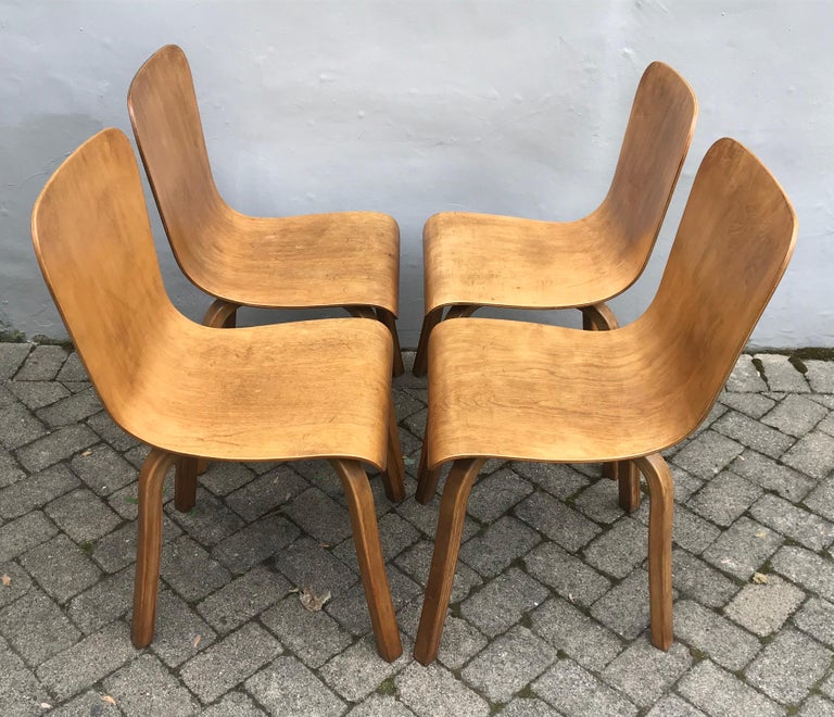 Set of Four Midcentury Bentwood Birch Dining Chairs by Czerwinski and