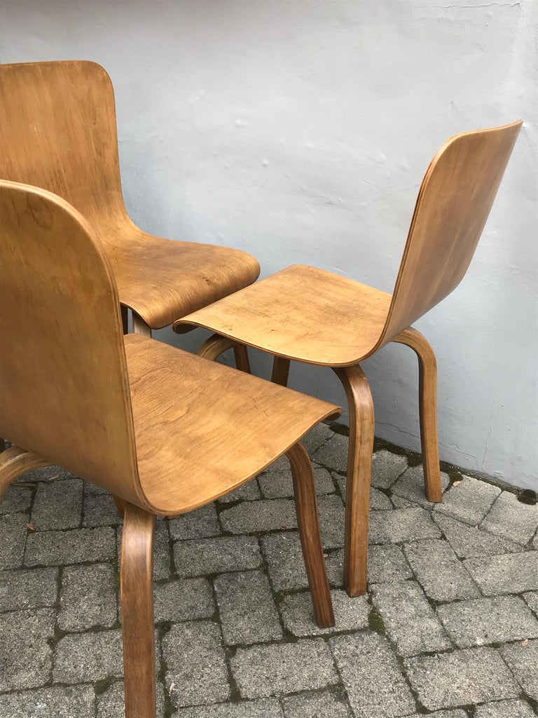 Set of Four Midcentury Bentwood Birch Dining Chairs by Czerwinski and