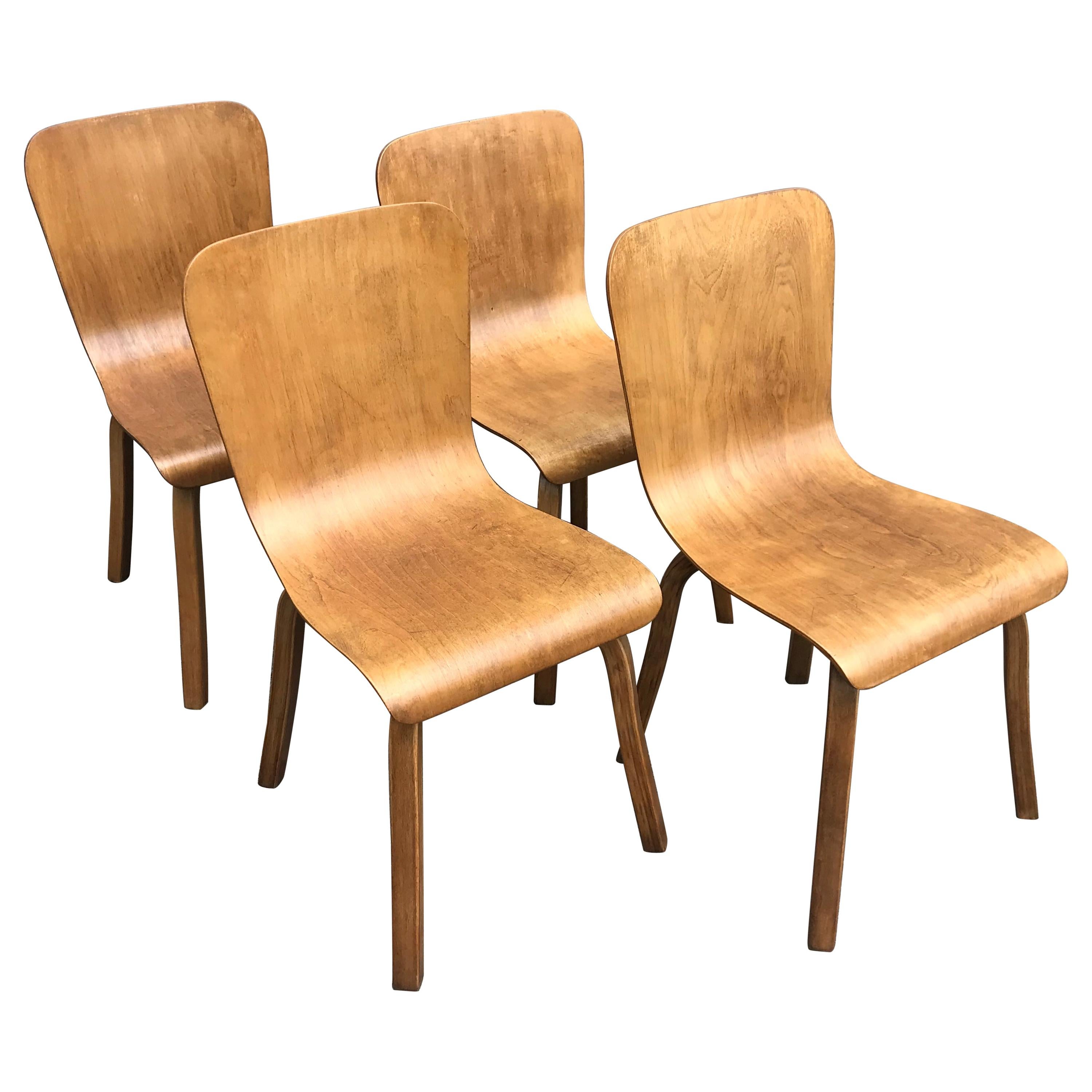 Set of Four Mid Century Bentwood Birch Dining Chairs by Czerwinski and