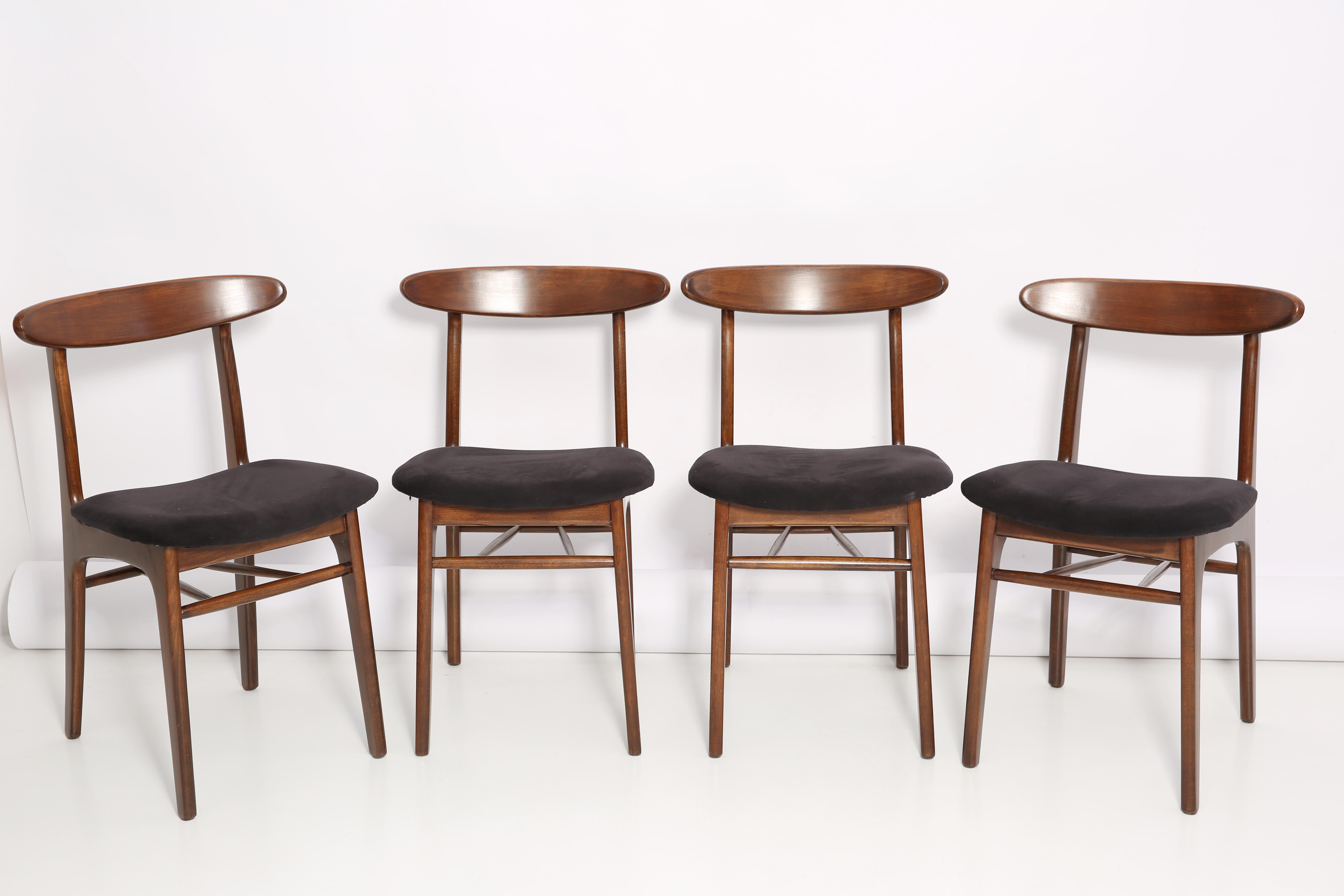 Chairs designed by Prof. Rajmund Halas. Made of beechwood. The set is after a complete upholstery renovation, the woodwork has been refreshed. Seat is dressed in black, durable and pleasant to the touch velvet fabric. Chair is stabile and very