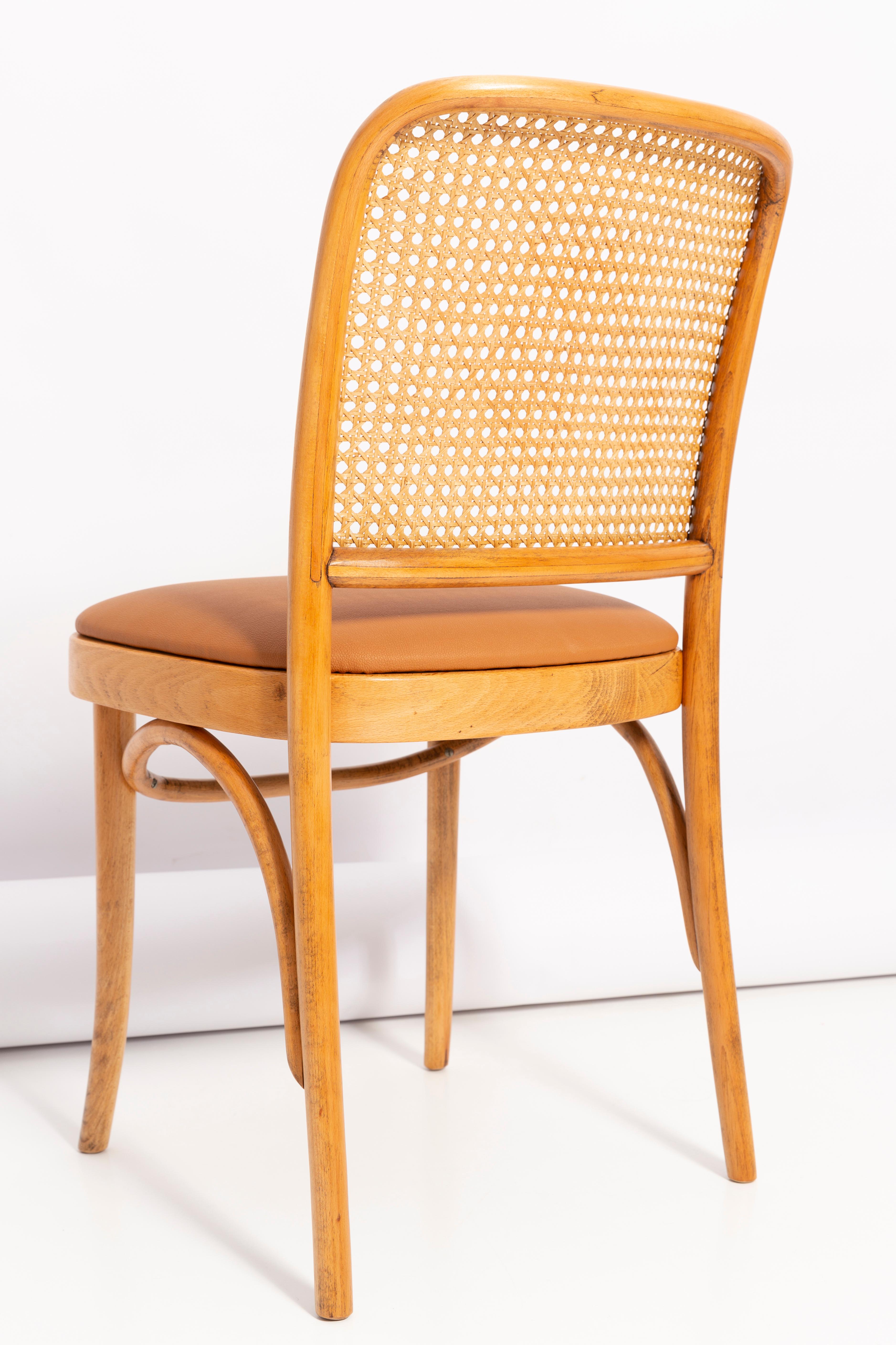 Set of Four Mid-Century Camel Faux Leather Thonet Wood Rattan Chairs, 1960s In Excellent Condition For Sale In 05-080 Hornowek, PL