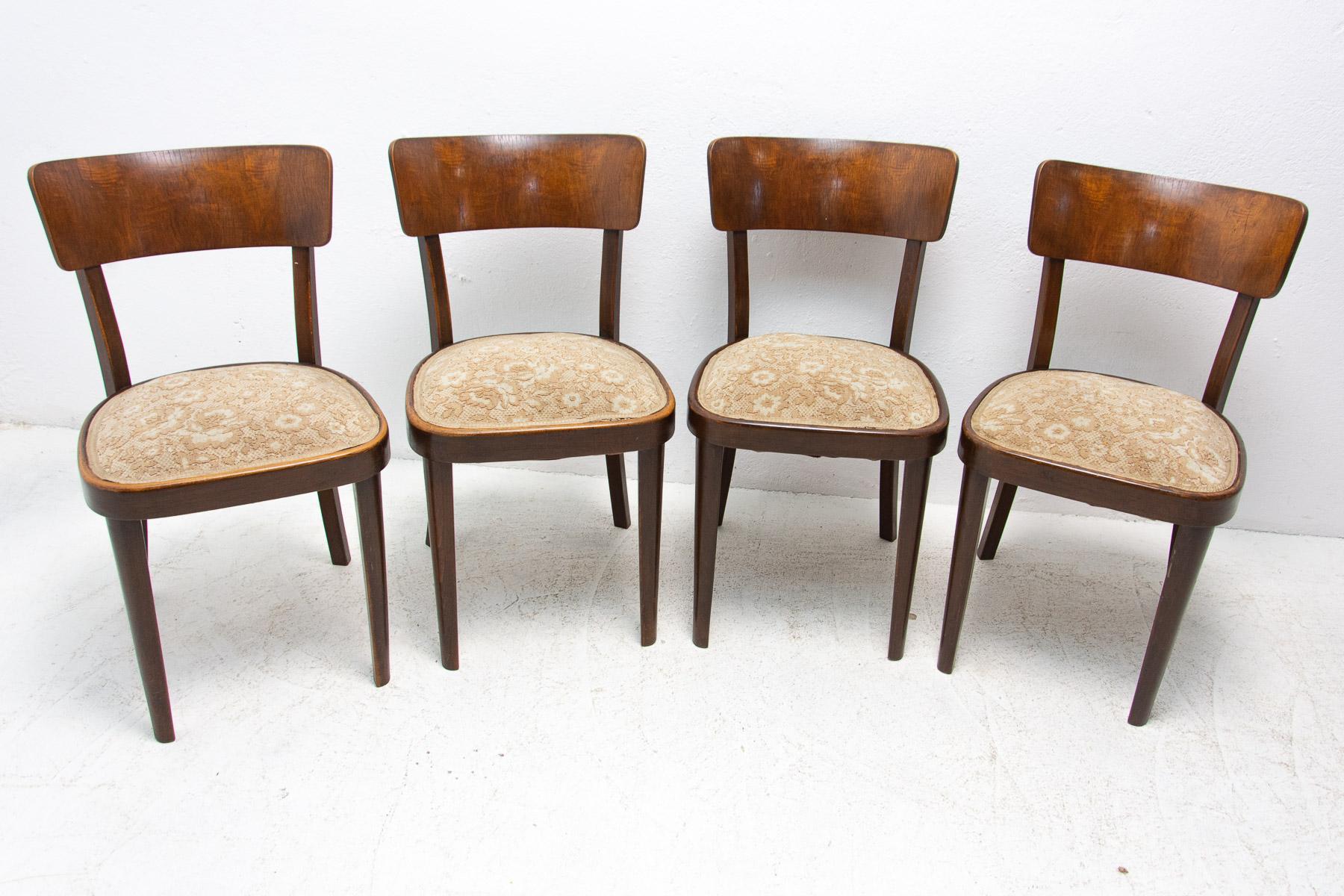 Mid-Century Modern Set of Four Mid Century Dining Chairs, Czechoslovakia, 1950´s