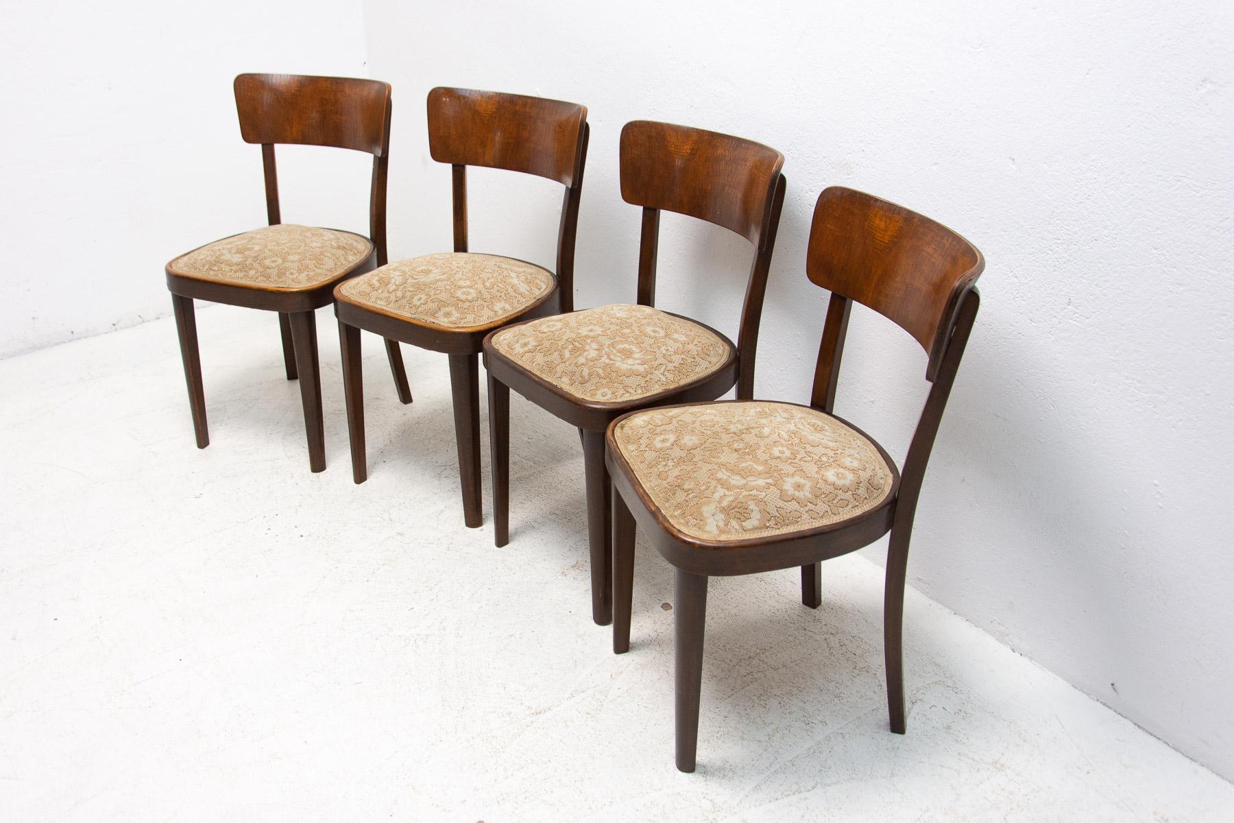 20th Century Set of Four Mid Century Dining Chairs, Czechoslovakia, 1950´s