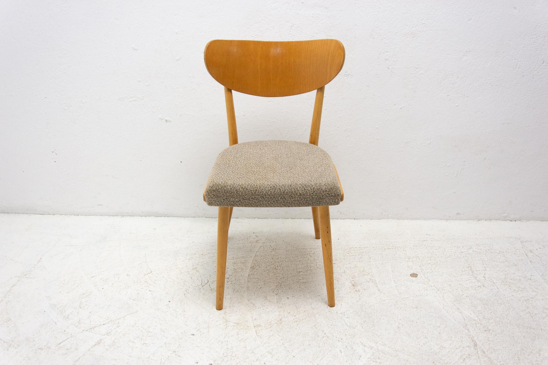 Set of Four Midcentury Dining Chairs, Czechoslovakia, 1960s 5