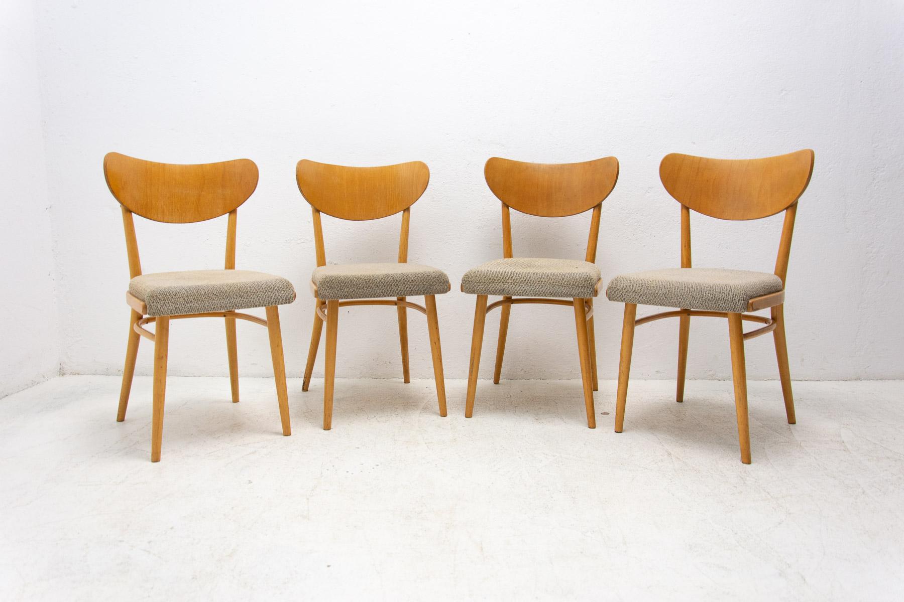 Midcentury upholstered dining chairs, made in Czechoslovakia in the 1960´s. beechwood, fabric. In good Vintage condition, without any damage, showing signs of age and using. Price is for the set of four.

Height: 80 cm

Seat: 42 x 42 cm

Seat