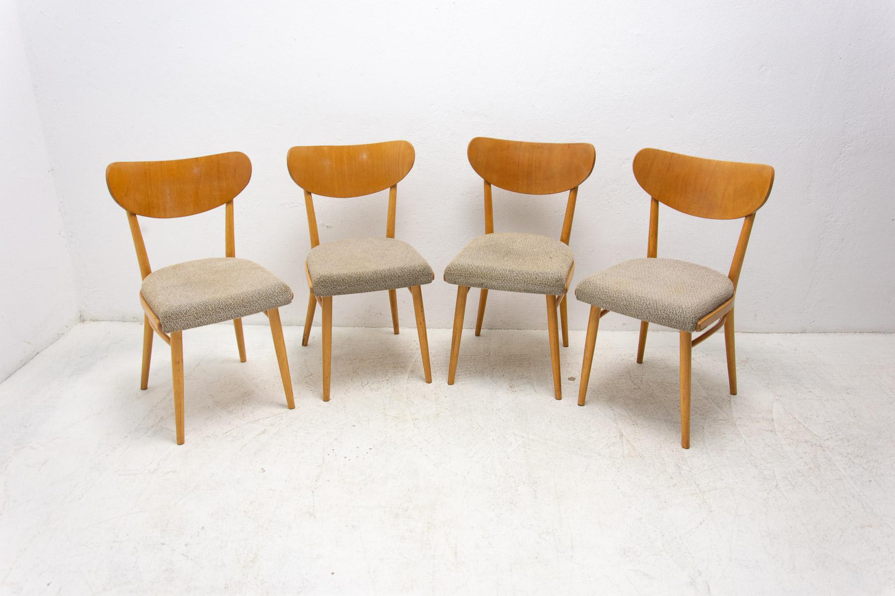 Mid-Century Modern Set of Four Midcentury Dining Chairs, Czechoslovakia, 1960s