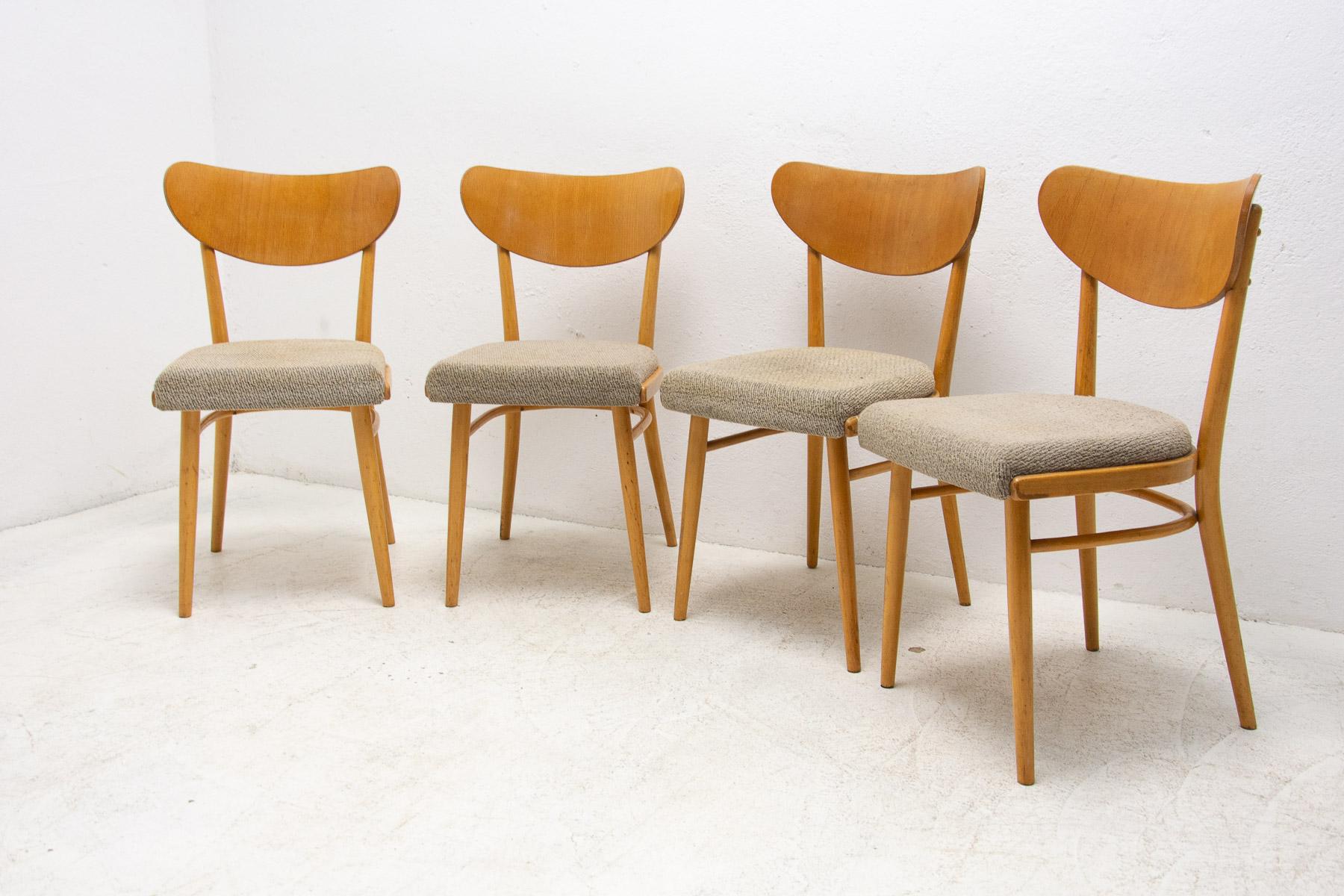 20th Century Set of Four Midcentury Dining Chairs, Czechoslovakia, 1960s