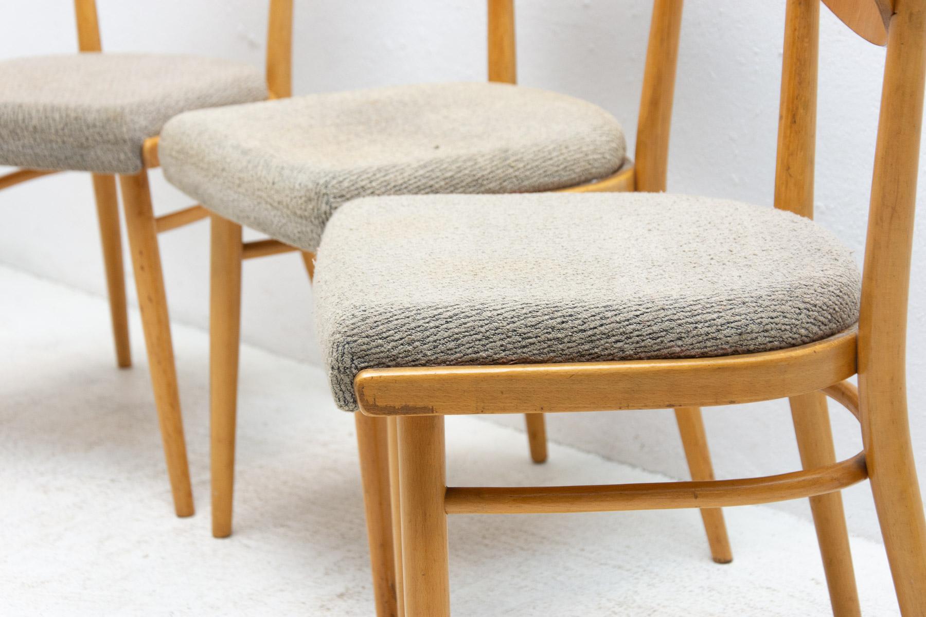 Set of Four Midcentury Dining Chairs, Czechoslovakia, 1960s 1