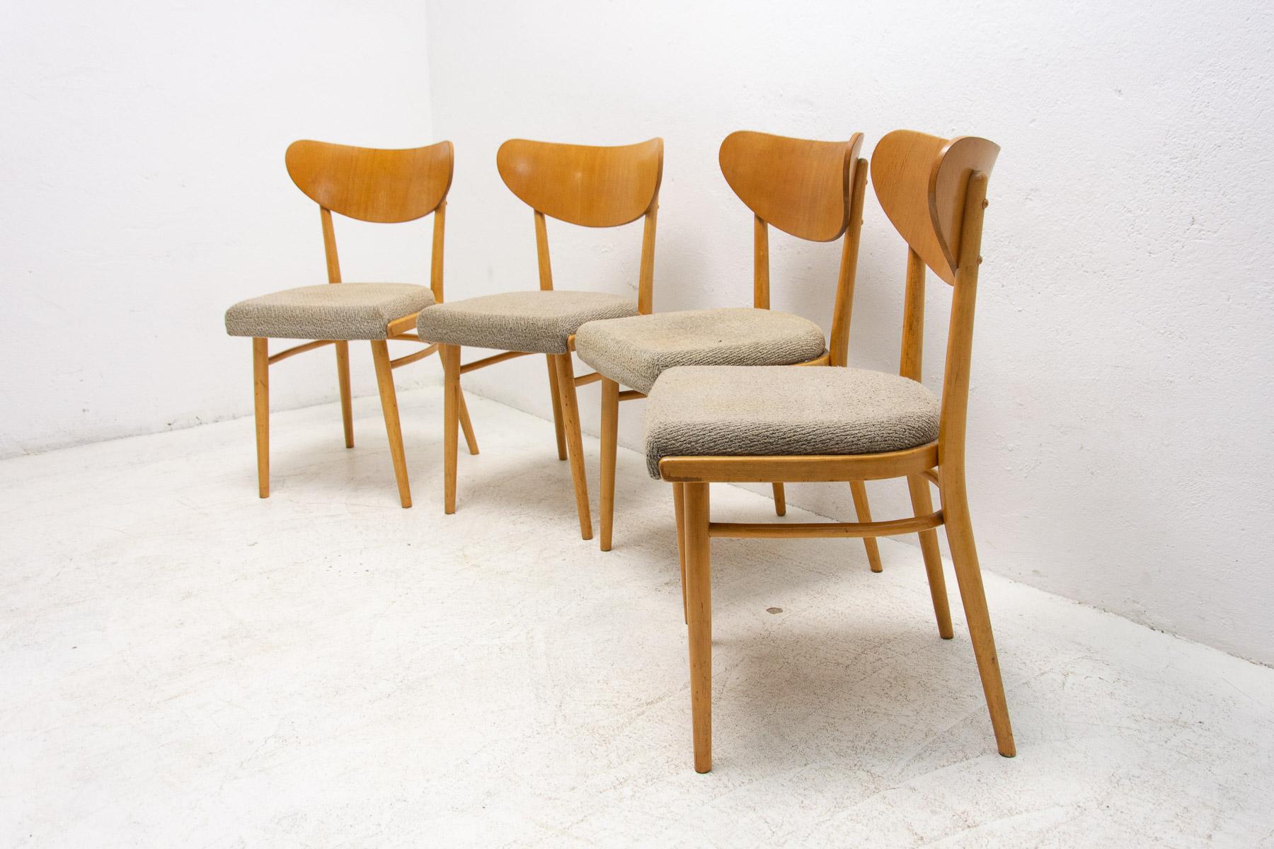 Set of Four Midcentury Dining Chairs, Czechoslovakia, 1960s 2