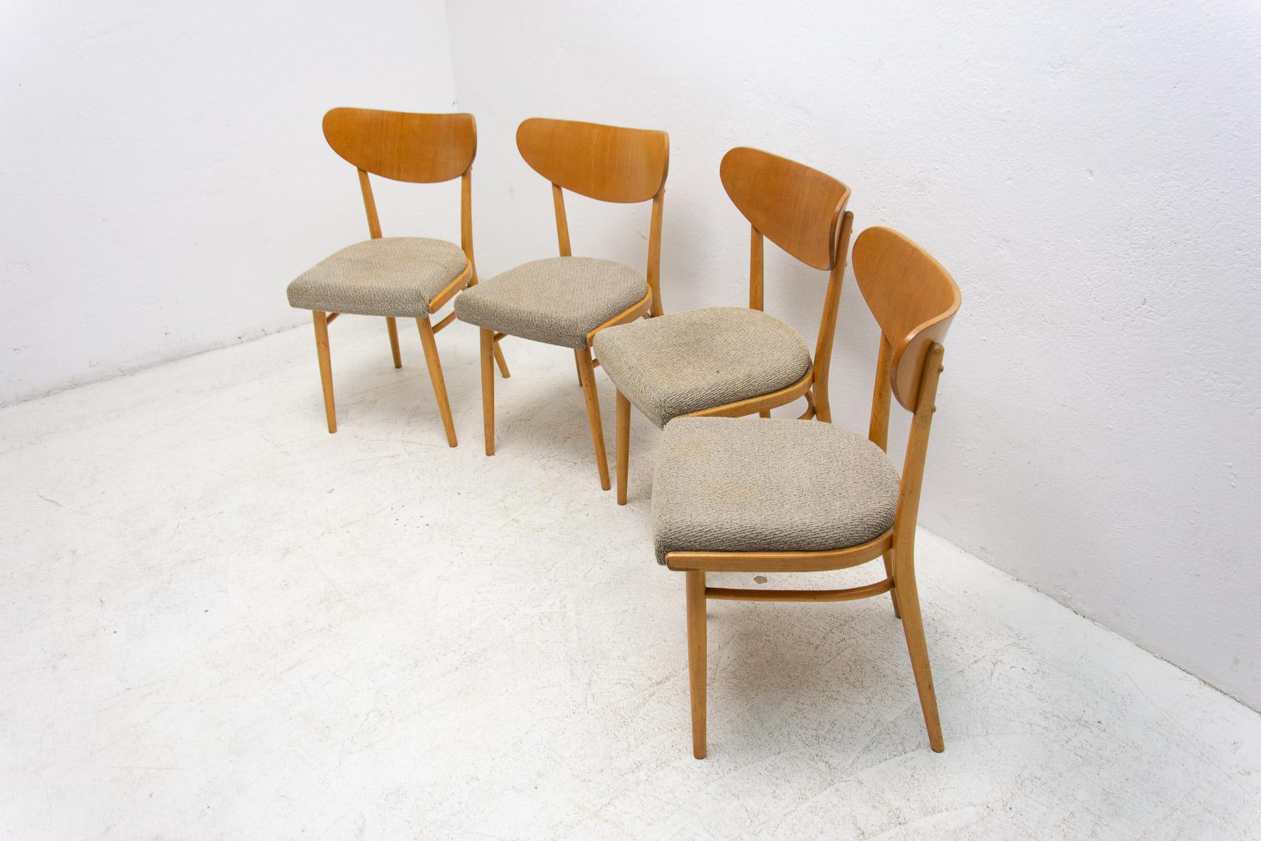 Set of Four Midcentury Dining Chairs, Czechoslovakia, 1960s 3