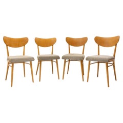Set of Four Midcentury Dining Chairs, Czechoslovakia, 1960s