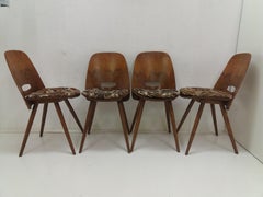 Set of Four Mid-Century Dining Chairs/ Tatra Pravenec, 1960's