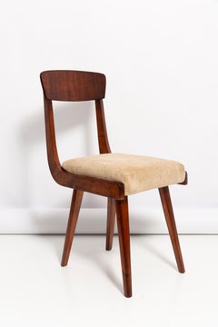 Set di quattro sedie Gazelle Beige in Wood, Europa, 1960